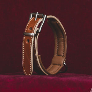 COLLIER CHIEN PM MARRON CREME
