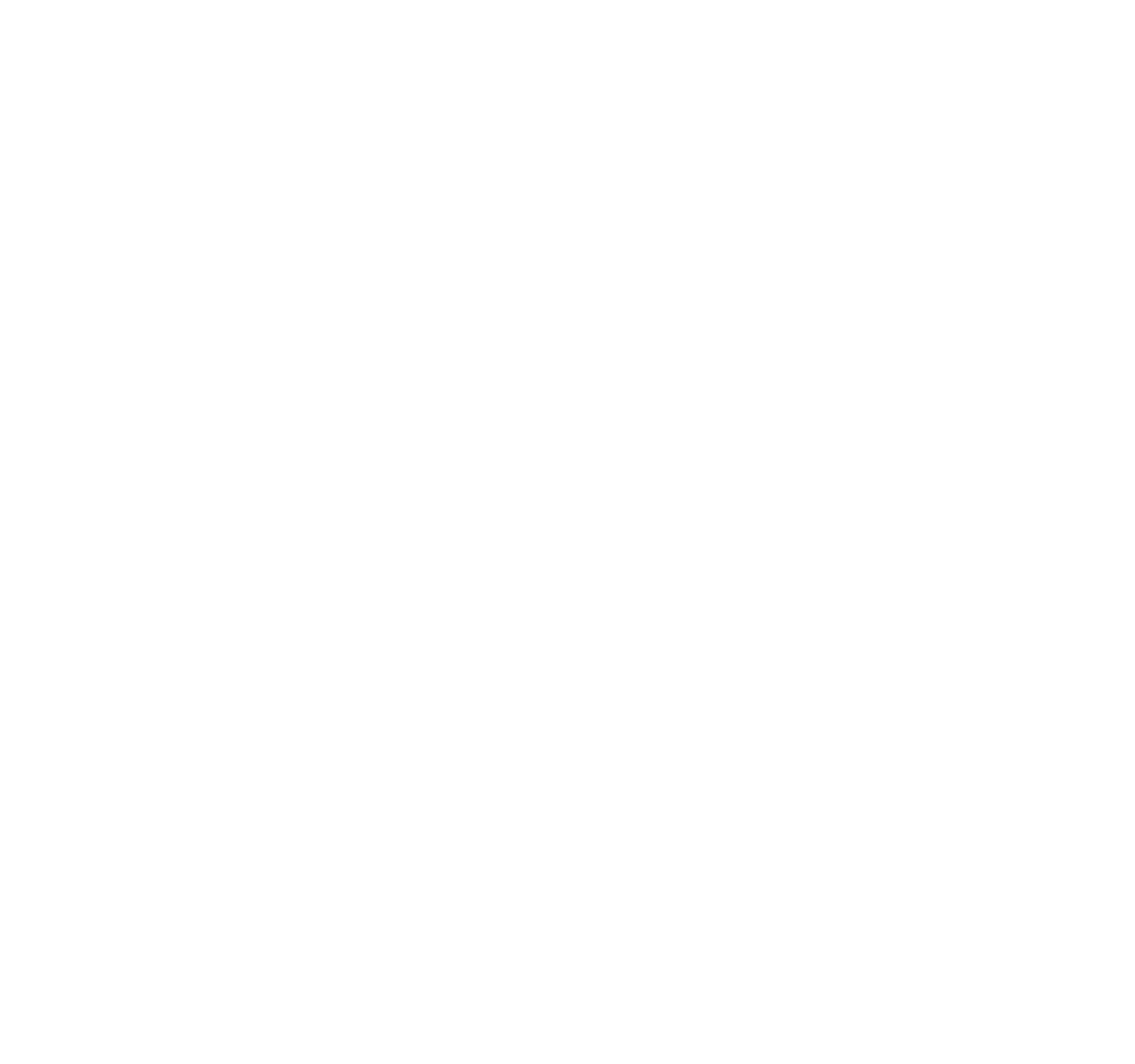 Logo Villaruiz blanc au trait