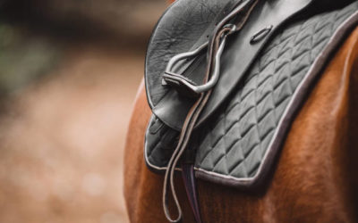 Comment savez-vous que votre cheval utilise son dos ?