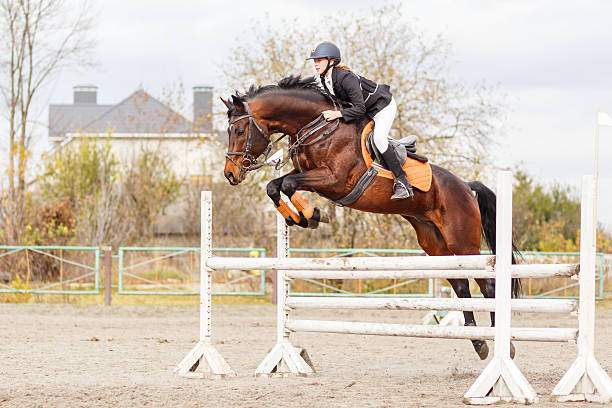 5 raisons pour lesquelles l’équitation convient aux personnes de tous âges